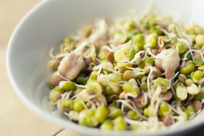 Sprouts Benefits