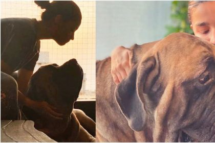 रणबीर कपूर के पालतू कुत्ते के साथ खेलती नजर आईं आलिया भट्ट, तस्वीरें सोशल मीडिया पर हुईं वायरल