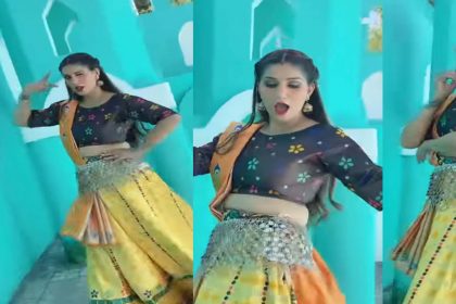 Sapna Choudhary Dance Video: सपना चौधरी ने इस पंजाबी सॉन्ग पर किया जोरदार डांस! देखें वीडियो