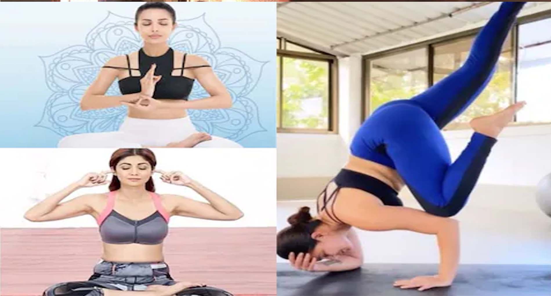 International Yoga Day 2022: शिल्पा शेट्टी-मलाइका अरोड़ा की तरह बॉलीवुड ये एक्ट्रेसेस भी हैं योगा में एक्सपर्ट