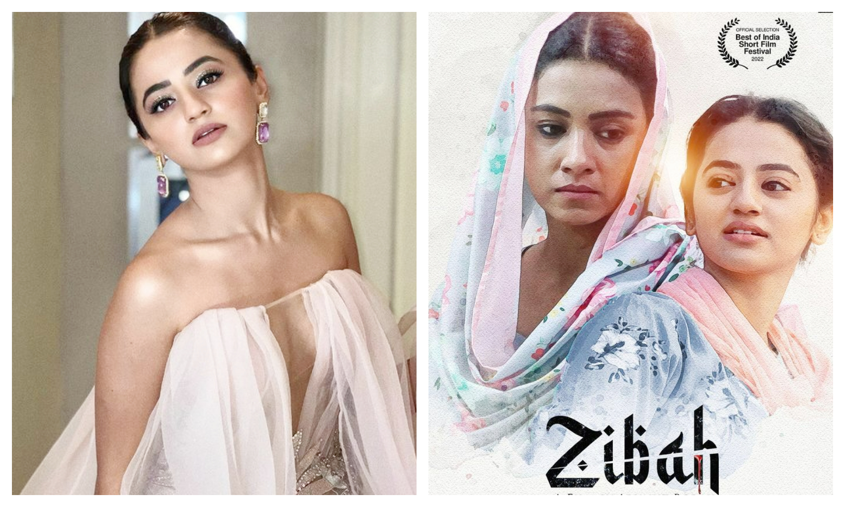 Zibah:  हेली शाह की फिल्म ‘जिबाह’ है भारत की टॉप 3 फिल्मों में से एक, ऑस्कर के लिए हुई क्वालिफाई